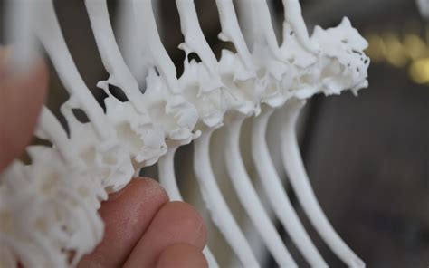 Nylon-3d-printing-london | 3DPRINTUK