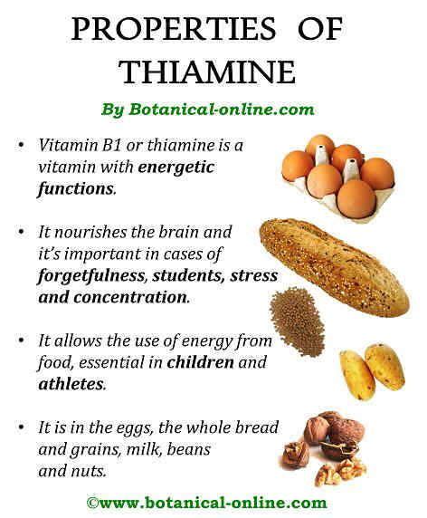 Thiamine Rich Foods List