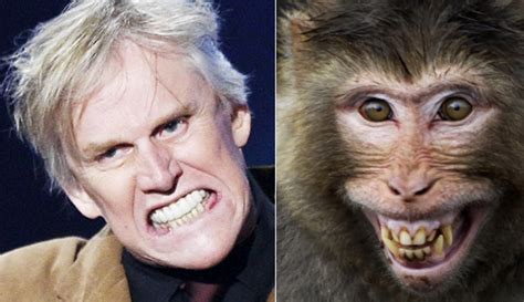 Celebrities and their animal look-a-likes | Celebrity look alike, Funny animal pictures, Funny ...