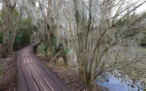 Jean Lafitte Barataria Preserve Wetlands Trails | Outdoor Project