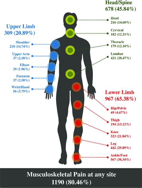 The prevalence of musculoskeletal pain by site. This figure shows the ...