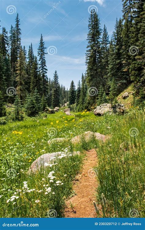 The Path Along the Hidden Valley Trail at the Valles Caldera Narrows ...