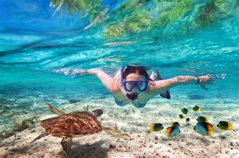 Top 5 places to Snorkel in Cancun – Epic Water Toys Cancun