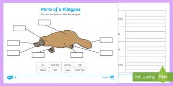 Parts of a Platypus Worksheet / Worksheets