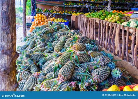 Fruit Market in Sri Lanka. Fresh Pineapples and Other Tropical Fruits on the Street Market Stock ...