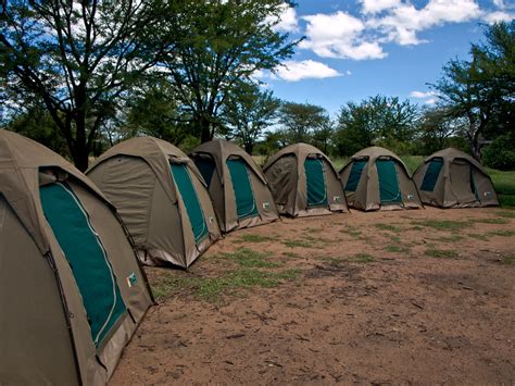 Tents at Ngiri Campsite | Row of tents at the Ngiri Campsite… | Flickr