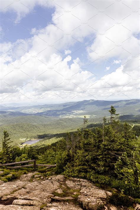 Bavarian forest nature park containing a positive, bavaria, and ...