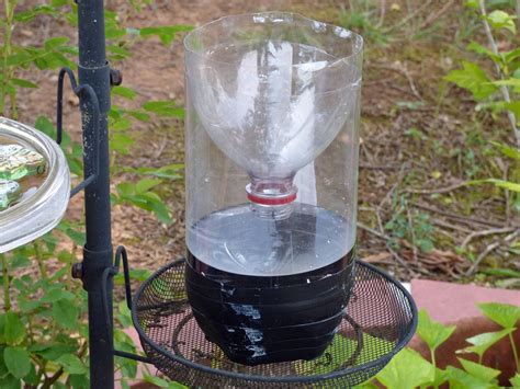 Homemade Wasp Trap Instructions - How To Make A Homemade Wasp Trap ...