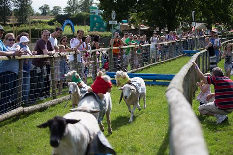 Hatton Adventure World hosts half term pantomime fun - oh yes it does! | Chalmers News PR