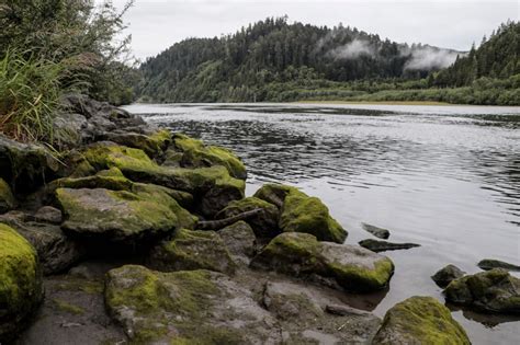 4 Klamath River Dams to Be Removed for Salmon Conservation