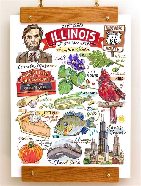 Illinois Print State Symbols Home Decor Illustration the | Etsy