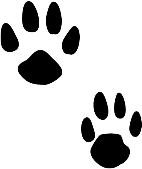 Rabbit tracks clipart 20 free Cliparts | Download images on Clipground 2024