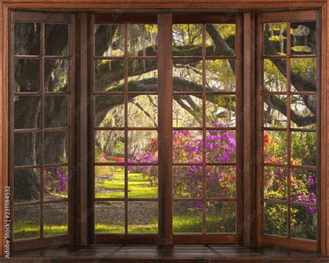 3d window view. Beautiful view of nature from the window. Stock Illustration | Adobe Stock