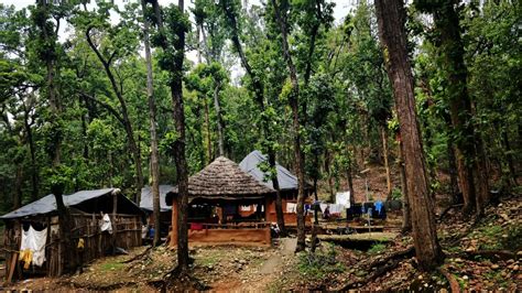 ‘Guests in our own homes’: The forest tribe of India’s Himalayas ...