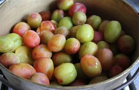 Spiced Plum Chutney | Recipe | Plum chutney, Chutney, Spices