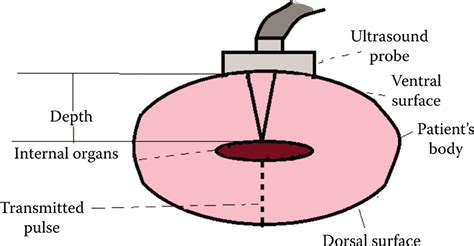 Ultrasound Physics | Radiology Key