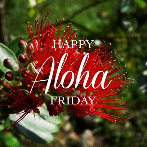 Happy Aloha Friday Quotes. QuotesGram