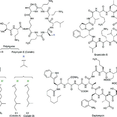 Chemical structures of phosphatidyl glycerol (PG) and the aminoacylated... | Download Scientific ...