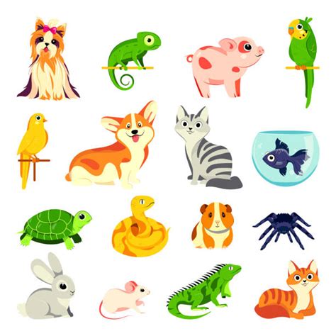 Pet Animals Clipart