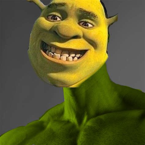 Shrek gigachad é qui | Halloween face makeup, Face makeup, Halloween face