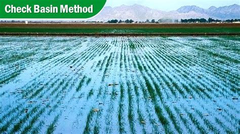 What is Irrigation System? Different Types and Methods of Irrigation