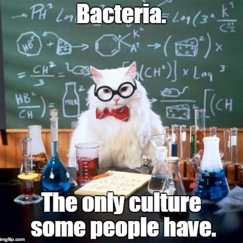 The classiest bacteria I ever did see! Let's just chat a minute about why probiotics are the ...