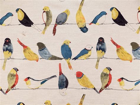 TFA Fabrics Early Birds Multi | 1502 Fabrics