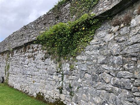 Dunguaire Castle's Medieval Banquet (Galway) - 2020 All You Need to ...