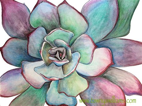 Succulent Original Print - Tawnya Williams Art