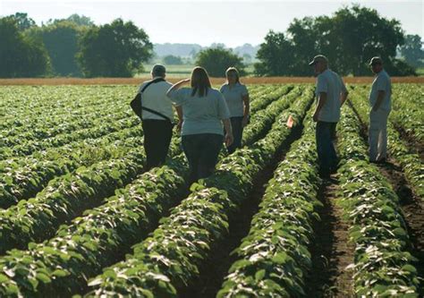 Michigan investors buy seed company with an eye towards growth - mlive.com