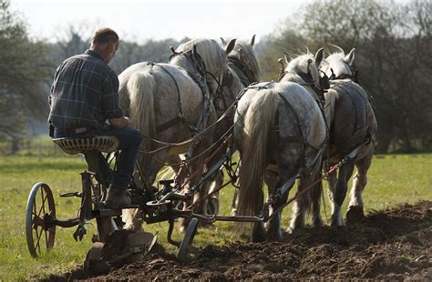 Farmer Robert Sampson from Ringwood farms using horses in the ...