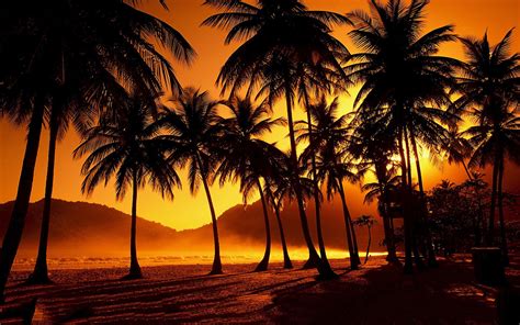 Sunset Palms Beach wallpaper | 1920x1200 | #32114