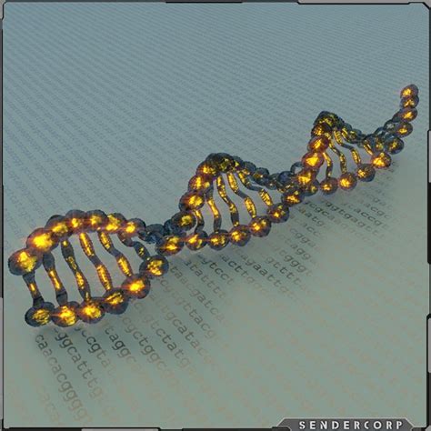 3d dna strand