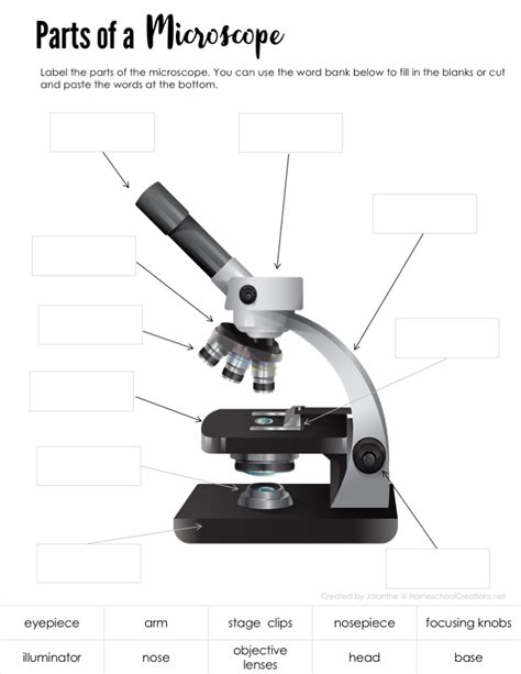 Microscope Parts Worksheet - Printable Word Searches