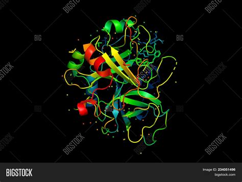 3d Model Protein Image & Photo (Free Trial) | Bigstock