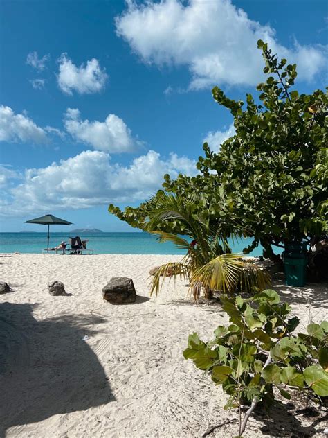 9 Jaw-Dropping Tortola Beaches: A Tortola Beach Guide - laaurenjade