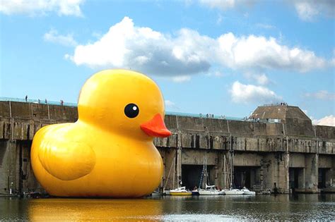 Splash! Giant Rubber Ducky! - Sparklette Magazine