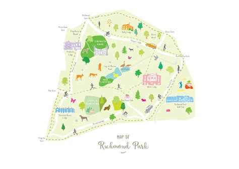 Illustrated hand drawn Map of Richmond Park by UK artist Holly Francesca.