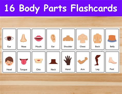 16 Body Parts Flashcards / Image Cards voor kinderen - Etsy België