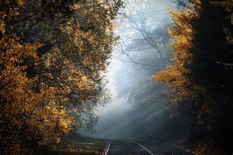 The Foggy Autumn Road No 1 Photograph by Chris Fletcher