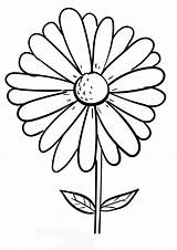 Coloring Pages And Daisy sketch template