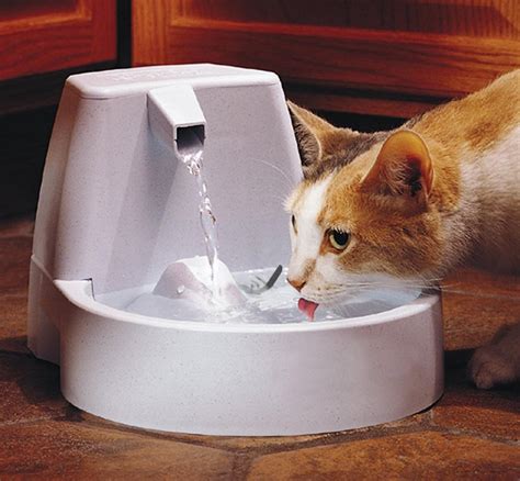 How To Make A Cat Water Fountain | Fountain Design Ideas