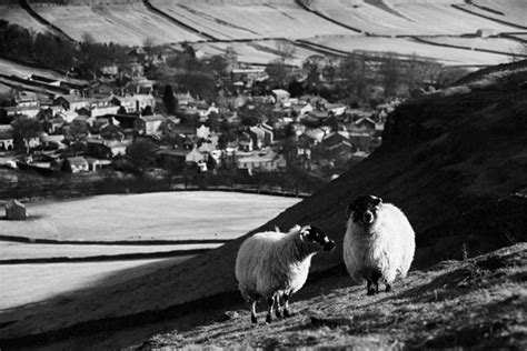 Yorkshire Dales Free Stock Photo - Public Domain Pictures