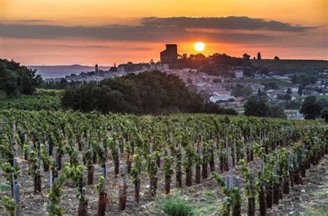 Why it's time to explore Vaucluse - Decanter