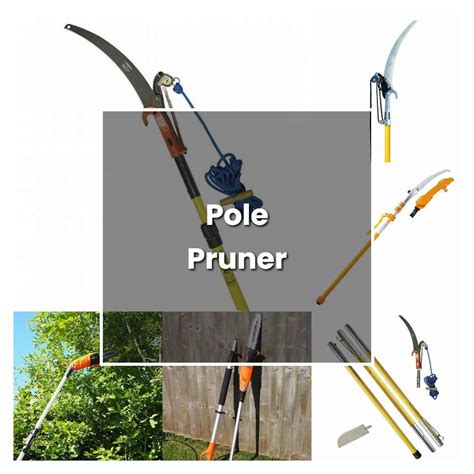 How to Grow Pole Pruner - Plant Care & Tips | NorwichGardener