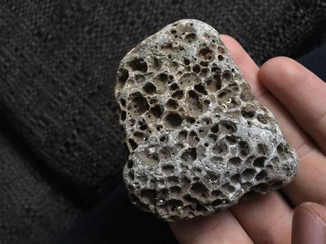 Coral? or just stone? - Fossil ID - The Fossil Forum