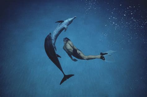 'Dolphin Boy' gets picked up by Disney | The Times of Israel