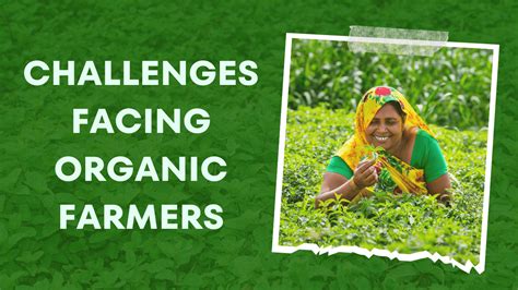 Challenges facing organic farmers - Pavitramenthe Fair Organic Pvt Ltd