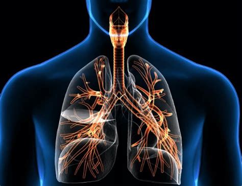 What’s the Difference Between a Respirator and Ventilator?