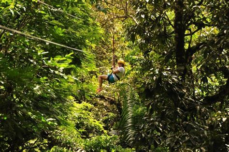 Monteverde Zip Lining—Ultimate Guide to Selecting the Best Option for You | kimkim